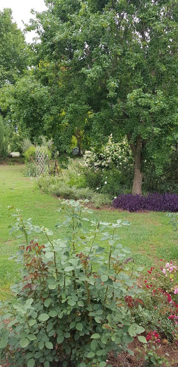 Piccadilly Farm Cottages Lions River Dış mekan fotoğraf